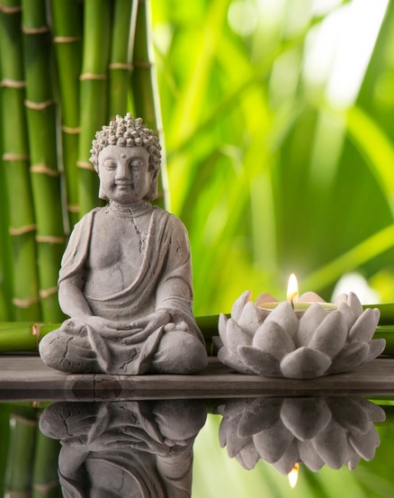 A Buddha statue, symbolizing harmony and balance in life, linked to the principles of Pranic Feng Shui for enhancing the energy in your environment and well-being.